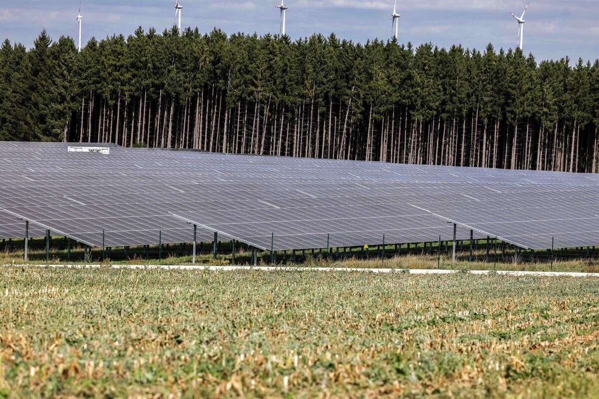 Der Bürger-Solarpark bei Söhnstetten ist 15 Hektar groß.