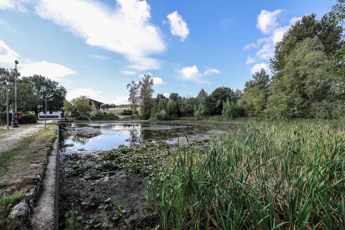 Der Zanger Weiher leidet sehr stark unter dem Wassermangel und den fehlenden Niederschlägen.