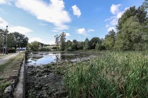 Der Zanger Weiher leidet sehr stark unter dem Wassermangel und den fehlenden Niederschlägen.