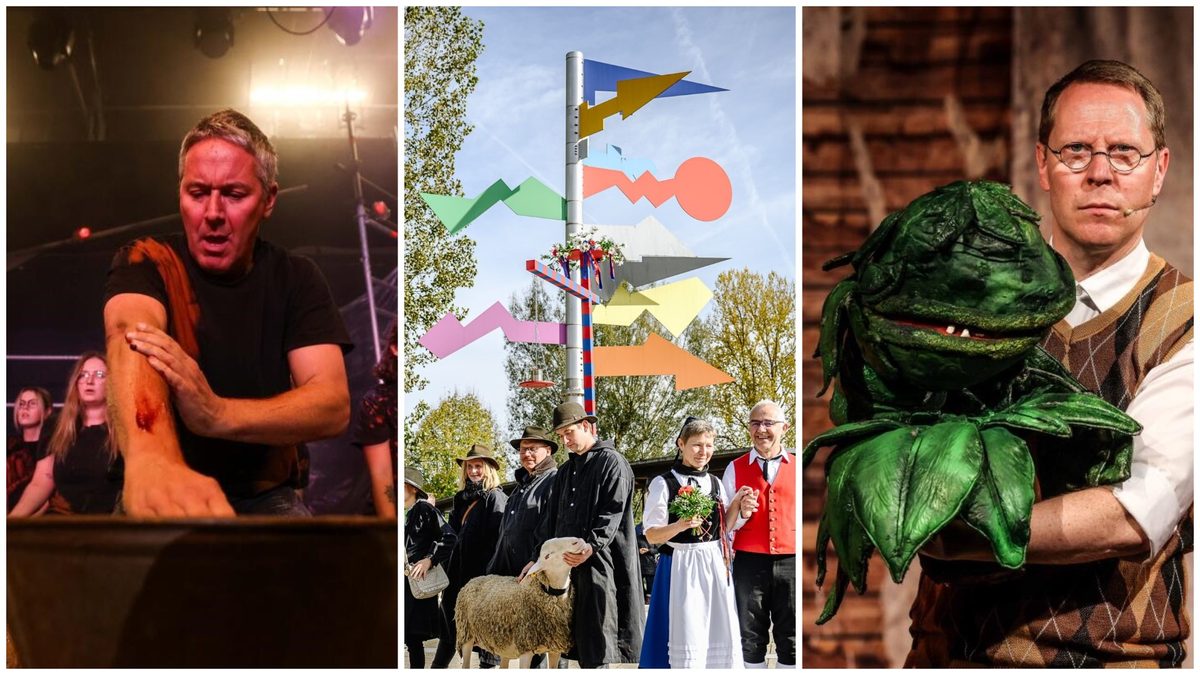 Shepherd's Adventure Day, Sasse Theater, Open-Air Theater: What's ...