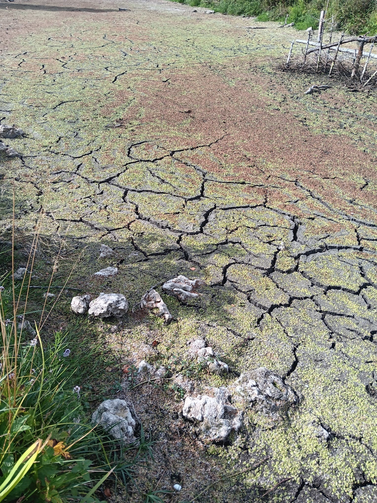 So sieht die Brenz derzeit im Eselsburger Tal aus. 