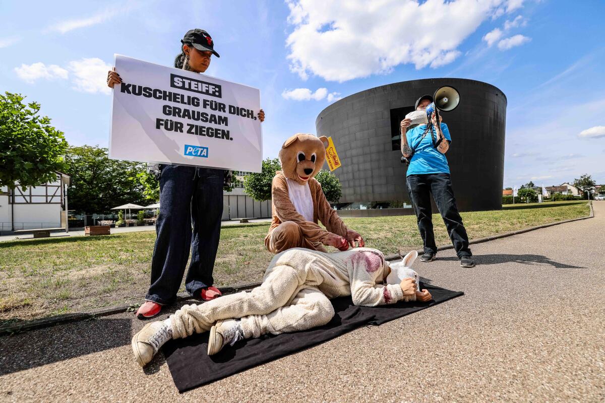 Peta-Aktivisten protestierten am Mittwoch vor dem Steiff-Museum in Giengen gegen die Verwendung von Mohair bei einigen Produkten des Unternehmens. 