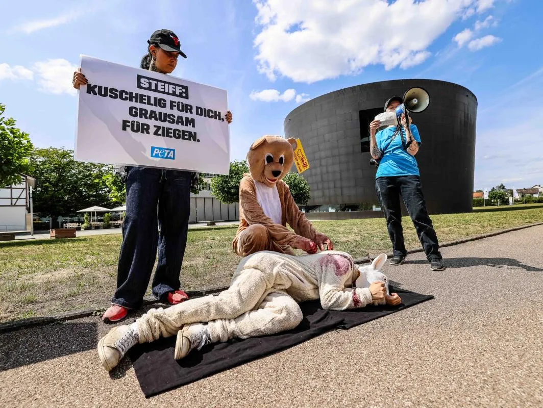 Peta-Aktivisten protestierten am Mittwoch vor dem Steiff-Museum in Giengen gegen die Verwendung von Mohair bei einigen Produkten des Unternehmens. 