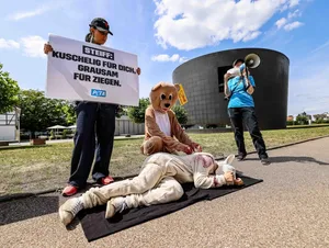 Giengen, Peta-Protestaktion, Peta, Protest, Steiff, Museum, Peta-Aktivisten protestierten am Mittwoch vor dem Steiff-Museum in Giengen gegen die Verwendung von Mohair bei einigen Produkten des Unternehmens.