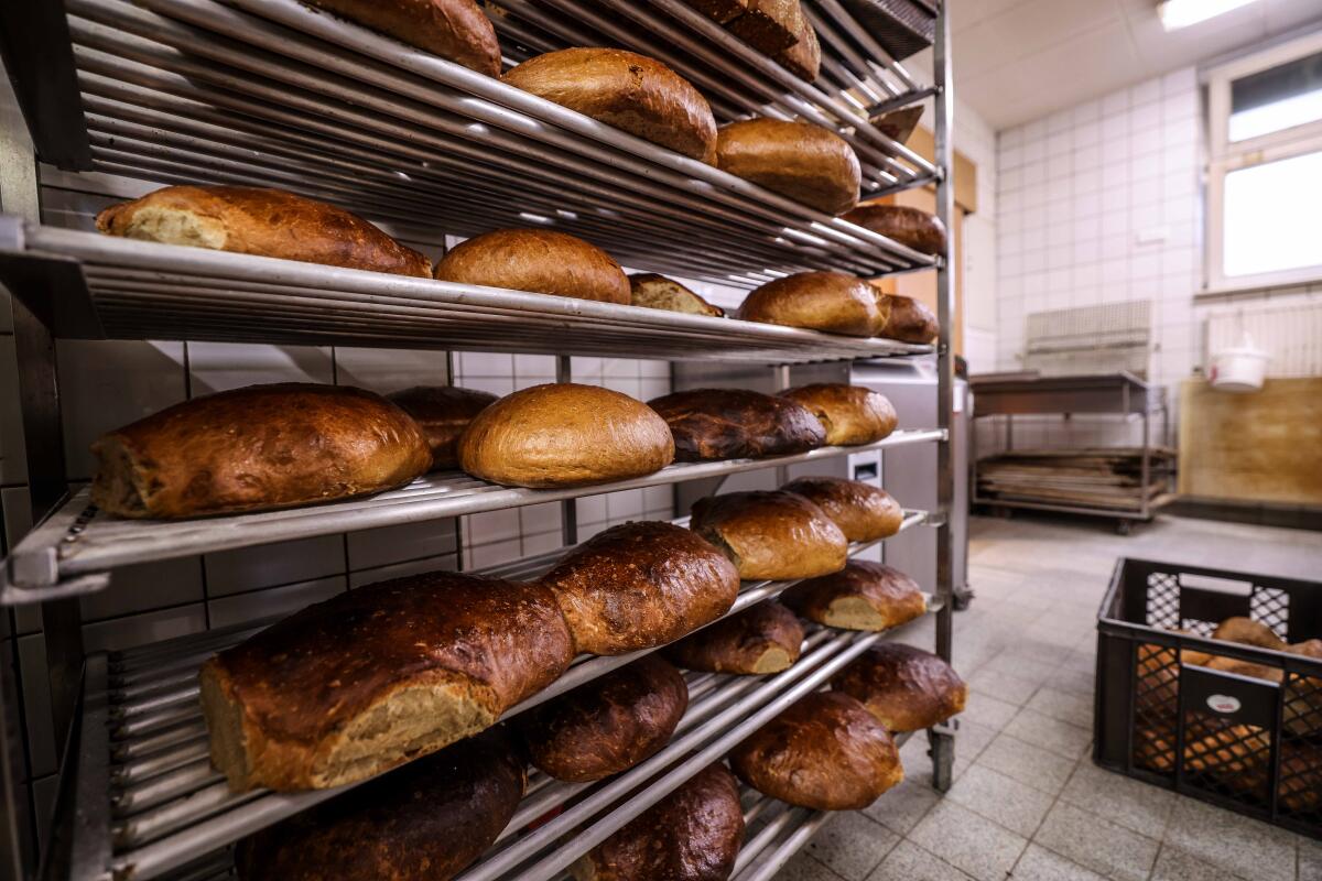 Selbst gebackenes Brot ist echte Handwerkskunst. Doch die Betriebe haben mit großen Herausforderungen zu kämpfen.