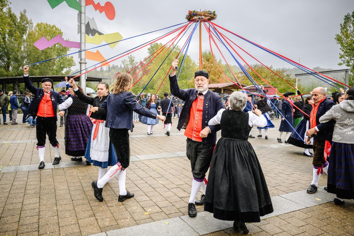 Schäfer-Erlebnistag im Heidenheimer Brenzpark: Zwischen Tradition und ...