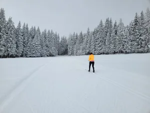 Gut präparierte Loipen sind die Grundlage für unbeschwertes Langlaufvergnügen im Winter. Damit sie auch in der kommenden Saison bereitstehen, laufen in Bartholomä bereits die Vorbereitungen. 