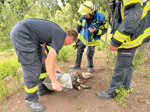 Feuerwehrangehörige sorgten am Dienstag dafür, dass ein Lagerfeuer nicht mehr aufflammt. Feuerwehrangehörige sorgten am Dienstag dafür, dass ein Lagerfeuer nicht mehr aufflammt.