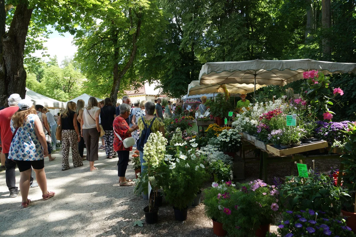 Vielerlei Blumen soll es am Wochenende im Rittergut Stetten zu sehen geben.