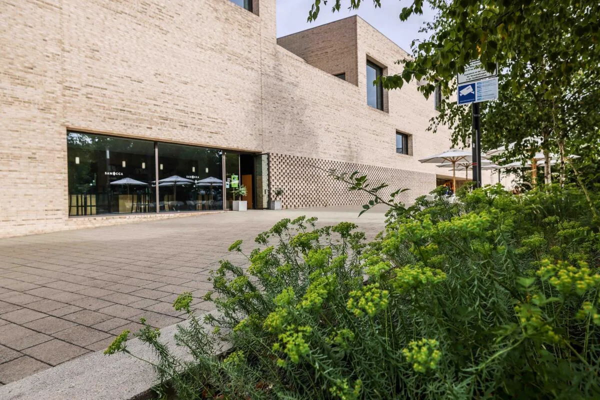 Zypressen-Wolfsmilch in den Beeten neben der Stadtbibliothek Heidenheim: eine heimische, leicht zu pflegende Wildpflanze.