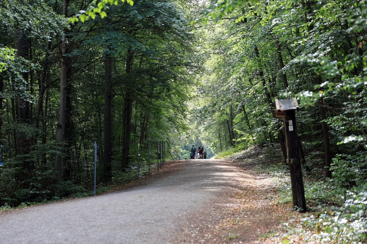 Wandern in Heidenheim: Ugentalschleife&nbsp;– vom Schlossberg direkt ins Naturerlebnis.