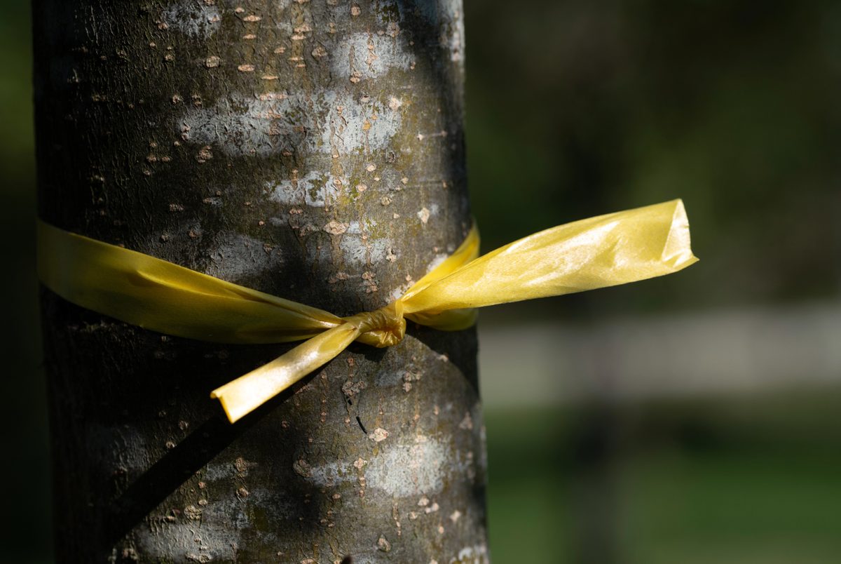 Why you're not allowed to pick fruit in Heidenheim - | and the fruit ...