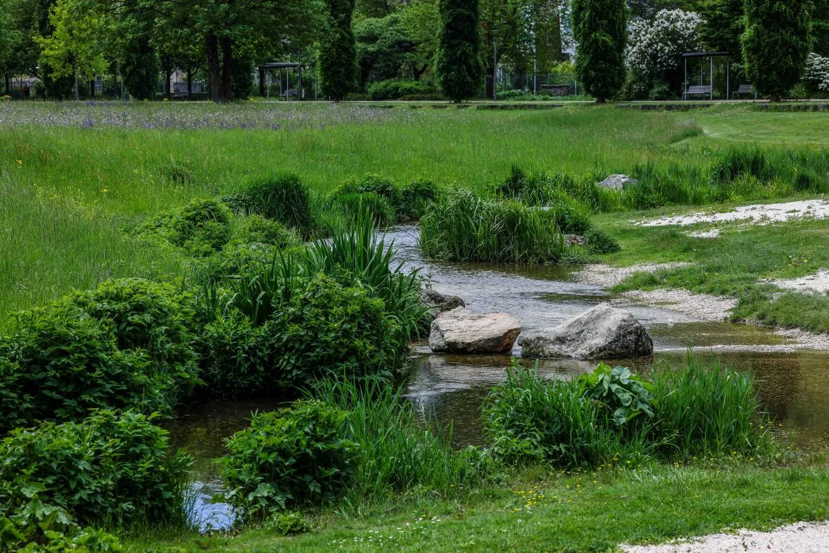 Angesichts der Hitze kann der Brenzpark mit Wasser zum Abkühlen dienen.