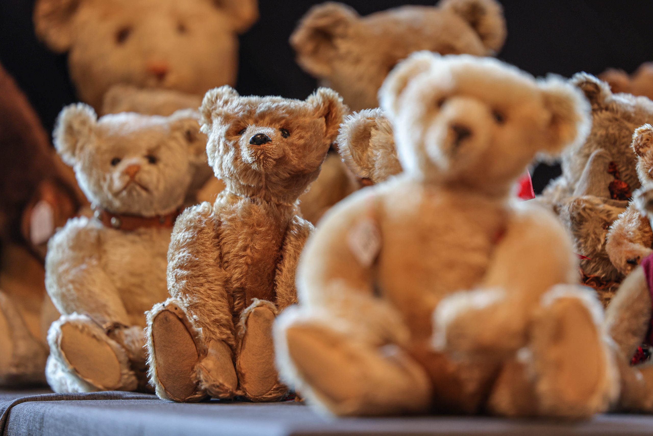 Der Teddy bekommt Gesellschaft: Das Unternehmen Ravensburger wird Mehrheits­eigner beim Giengener Plüschtierhersteller.