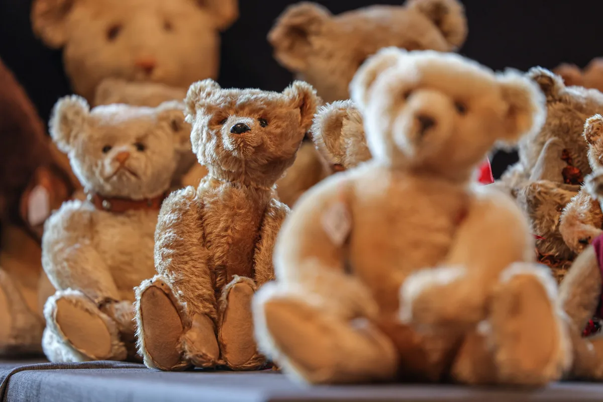 Der Teddy bekommt Gesellschaft: Das Unternehmen Ravensburger wird Mehrheits­eigner beim Giengener Plüschtierhersteller.