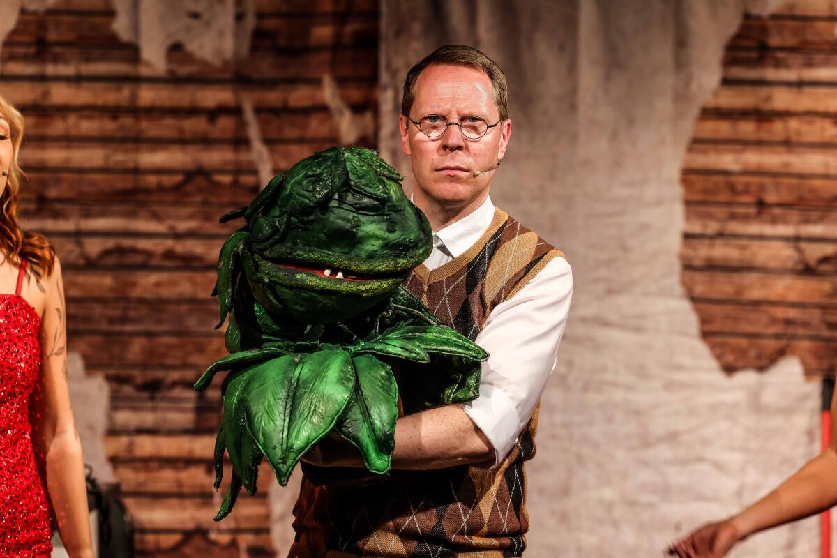 Die Pflanze hat ungewöhnliche kulinarische Vorlieben: Im Schnaitheimer Sasse-Theater wird „Der kleine Horrorladen“ aufgeführt.