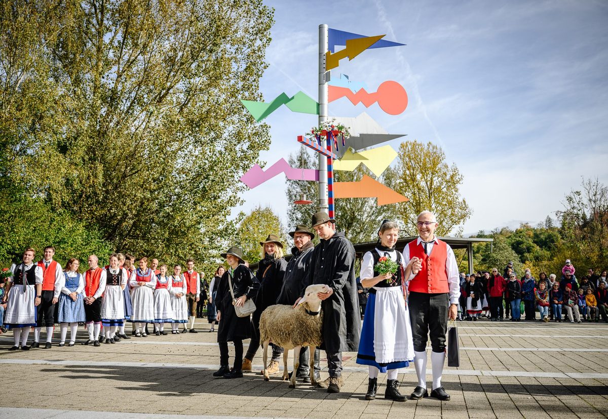 This is what's on offer at the Shepherd's Experience Day on Sunday ...