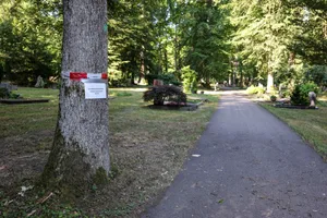 Heidenheim, Eichenprozessionsspinner, Waldfriedhof, An zahlreichen Bäumen auf dem Heidenheimer Waldfriedhof wird derzeit vor dem Eichenprozessionsspinner gewarnt.