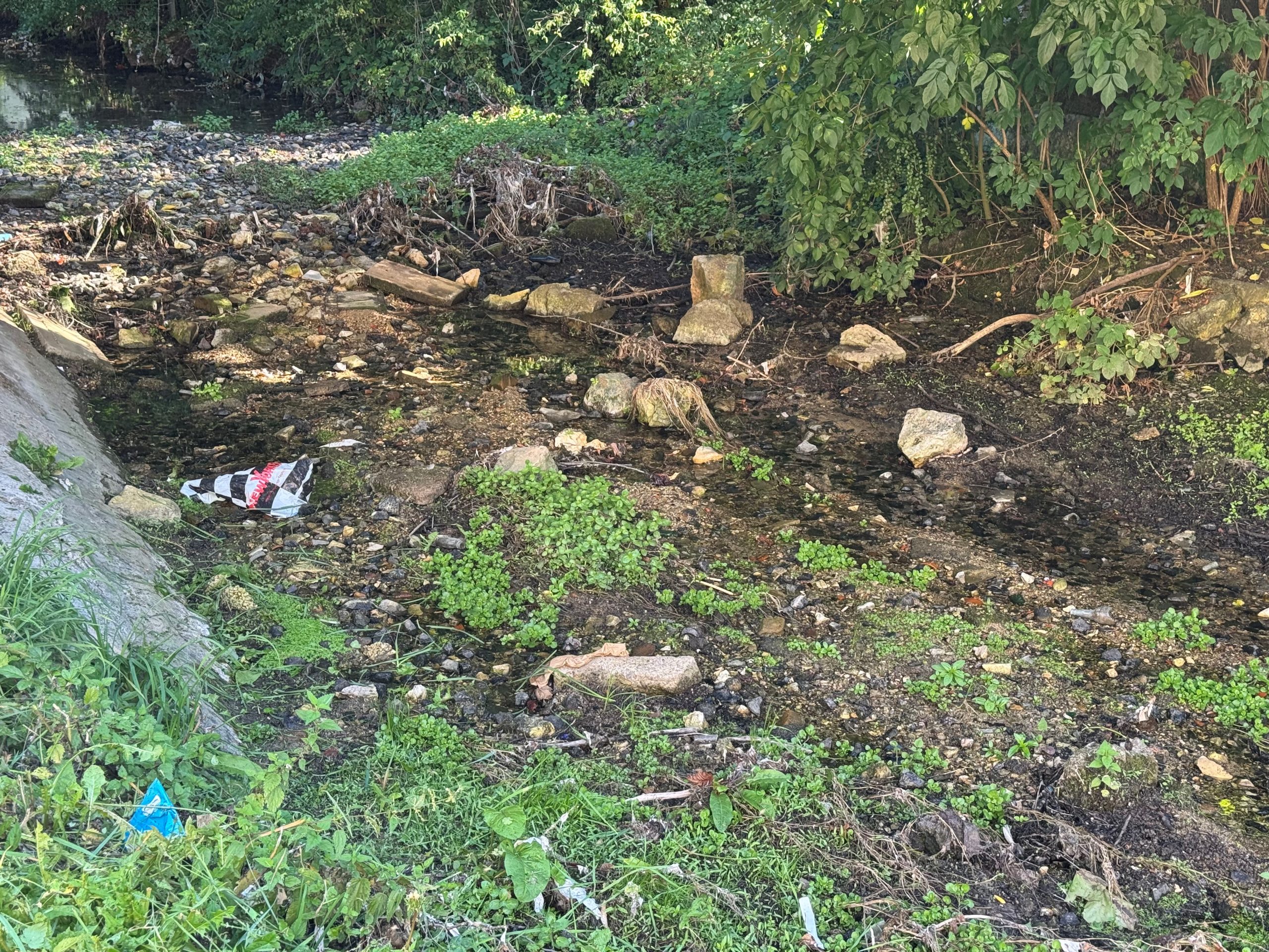 Der Goldbach in Mergelstetten zeigt sich beim derzeitigen Niedrigwasser nicht gerade von seiner schönsten Seite.