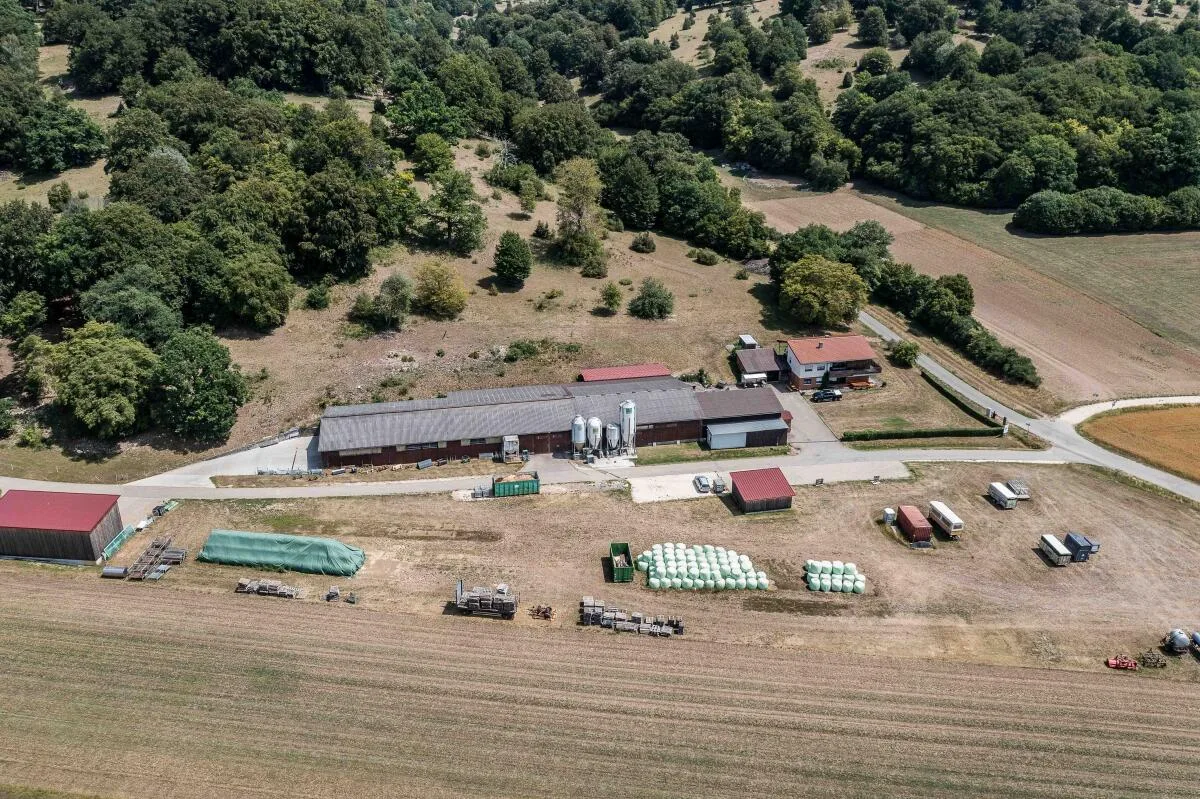 Die Schafställe auf dem Hof Smietana in Steinheim brauchen neue Dächer.