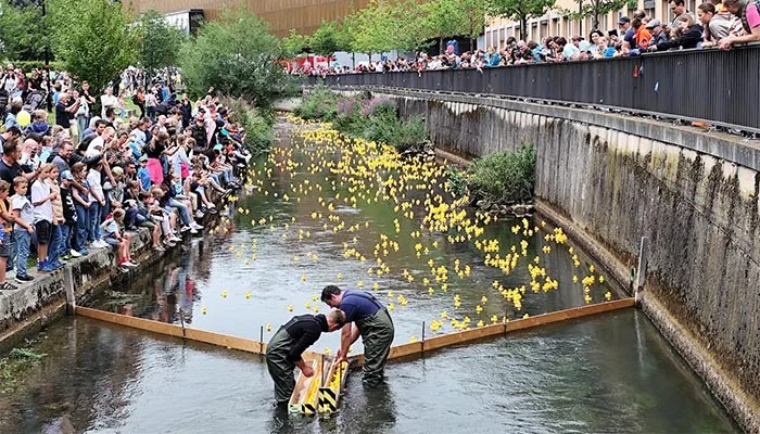 Nicht weniger als ein kleines Stadtfest soll das Entenrennen an der Brenz auch in diesem Jahr werden.